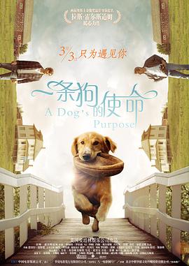 风间由美息子